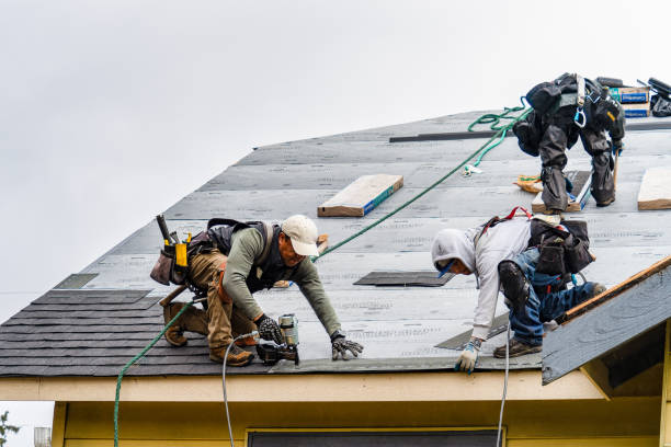 Professional Roofing technician working in Dairy, OR